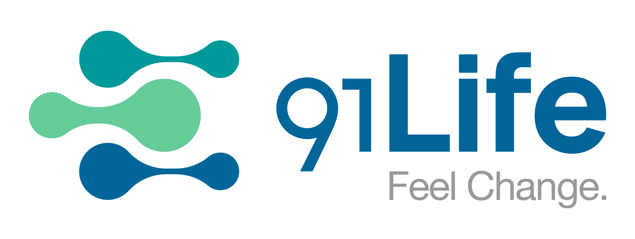 91 Life logo