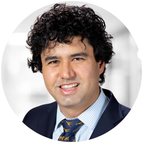 Heart Rhythm TV Subcommittee Chair: Daniel M. Alyesh, MD, FHRS